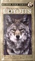 ELK Inc Dogging Coyotes DVD DXDC