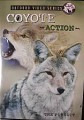 ELK Inc Coyote Action The Pursuit DVD