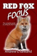 Red Fox Focus