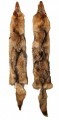 Tanned Coyote Pelt / Fur TFcoy