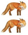 Renzos Decoys Red Fox 2 Pack Predator Decoy Kit 417