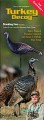 Sceery Standing Hen Turkey Decoy 2nd gen 00721