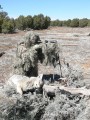 AllPredatorCalls.com Desert, Sage, and Grassland (DSG) Camouflage