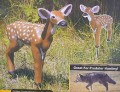 Flambeau Foam Fawn Whitetail Deer and Predator Decoy SF00885