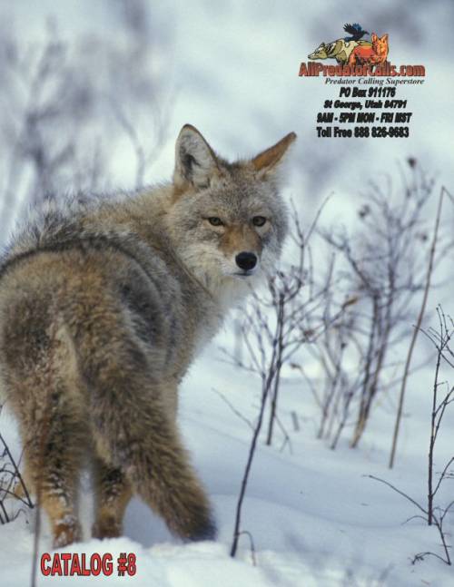 2012apccoverx500.jpg 2012apccoverx500.jpg
