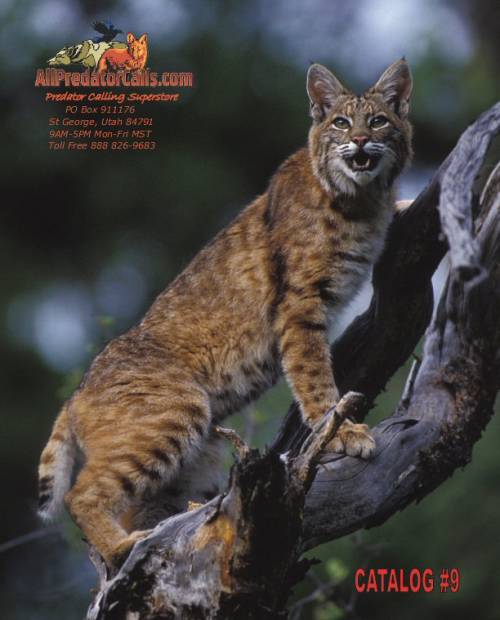 2013apccoverjpg500.jpg 2013apccoverjpg500.jpg