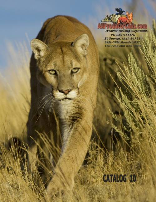 2014apccoverxx500.jpg 2014apccoverxx500.jpg
