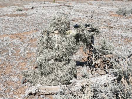 dsgcamo002.jpg