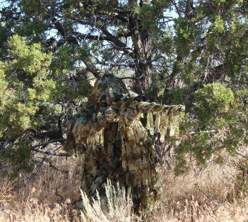 img-5504x500.jpg img-5504x500.jpg