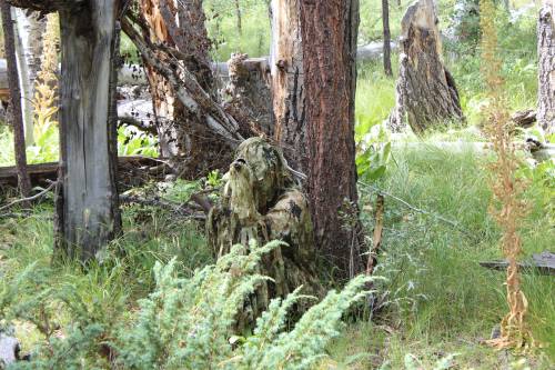 img-5637x500.jpg img-5637x500.jpg