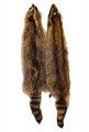 Tanned Raccoon Pelt / Fur TFhrc