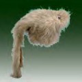 Western Rivers Predator Decoy FD779